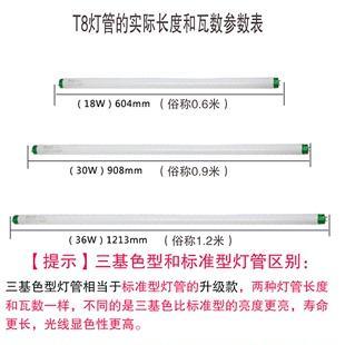 t5led灯管规格